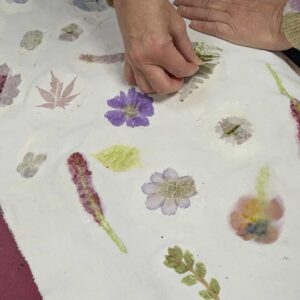 Atelier empreintes végétales - 4/07 de 14h à 15h