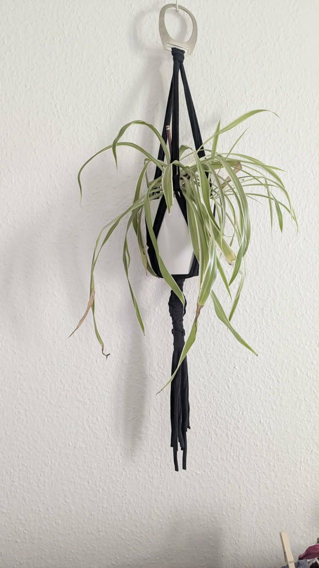 Atelier suspension de plantes surcyclé - 27 mai de 14h à 16h – Image 2