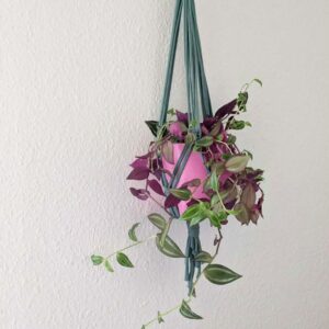 Atelier suspension de plantes surcyclé - 27 mai de 14h à 16h