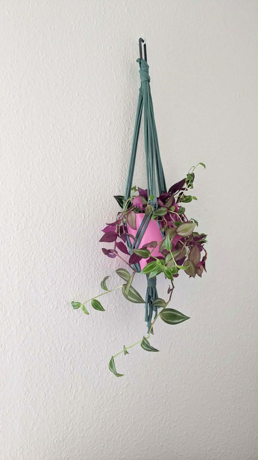 Atelier suspension de plantes surcyclé - 27 mai de 14h à 16h